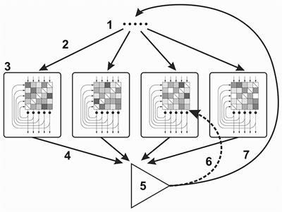 Cognitive Architecture with Evolutionary Dynamics Solves Insight Problem